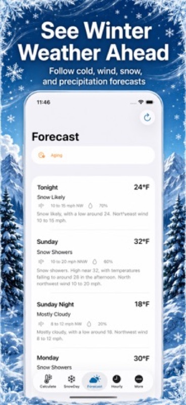 Wind Chill, Snow Day Pro App Store iphone screenshot 3