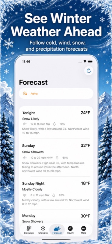 Wind Chill, Snow Day Pro App Store iphone screenshot 3
